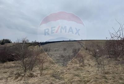Teren Construcții intravilan de 2307 mp, în Sălicea - 7
