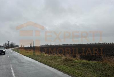 Teren Construcții extravilan de 5000 mp, în Lumina - 6