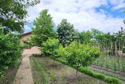Casa parter, com Lipanesti,  jud Prahova, 1000mp, garaj, beci - 14