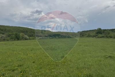 Casă individuală cu 4 camere cu Teren 57600 Mp în Sâncraiu Almașului - 8