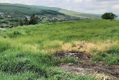 Teren de 1600 mp, în Central