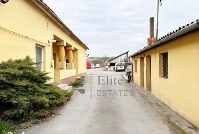 Spațiu comercial, de 100 mp, în Sânmartin - 12