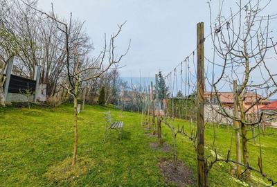 Casă cu 5 camere cu Canalizare în Andrei Mureșanu - 18