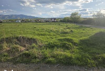 Teren de 405 mp, în Ștrand - 1