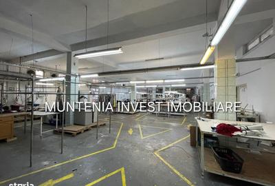 Spațiu comercial, de 1,669 mp, în Bascov - 8