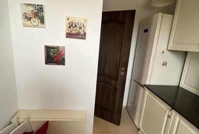 Apartament 2 camere Mihai Bravu - 11