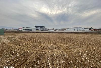 Spațiu comercial, de 300 mp, în Dărmănești - 4