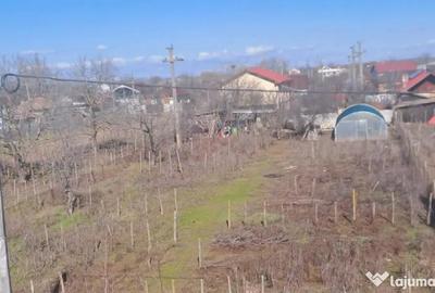 Teren de 1200 mp, în Coșoveni - 5