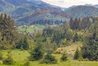 O fereastra catre cer - teren de vis in Fundata, la poalele Bucegilor - 18