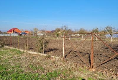 Vând teren intravilan suprafață 1414mp în Sânpetru Mare, jud.Timiș . - 8