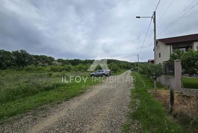 Teren intravilan Balotesti 9782mp 96ml deschidere langa padu - 4