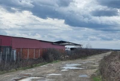 Teren in Amati ideal pentru investitie - 3