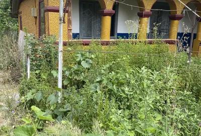 Casă cu 3 camere în Alexeni - 4
