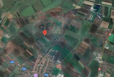 Teren de 10875 mp, în Hălchiu