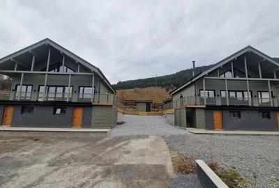 Vila de vis la Toplita in Vagani - 3