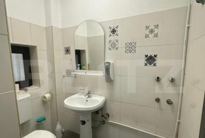 Spatiu cu vad pietonal si auto, zona Ultracentrala - 2