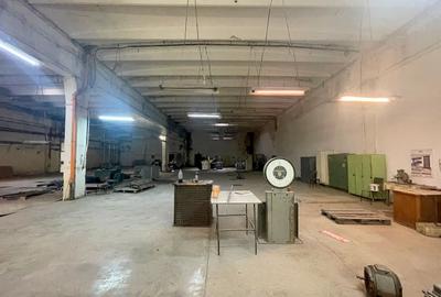 Hale industriale de inchiriat in zona Aradului - 1