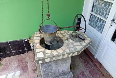 Ciclova, Casa 10 Incaperi, pt 2 Familii, 1439mp Teren - 6