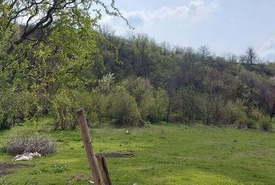 Teren de 3100 mp, în Axintele - 1
