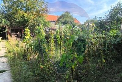 Casă individuală cu 3 camere cu Garaj în Ultracentral - 36