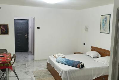 Garsonieră decomandată în Lacu - 5