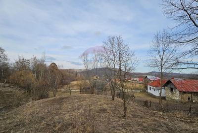 Teren Plaiu_Provita de Sus- intravilan 5373 mp_deschidere... - 1