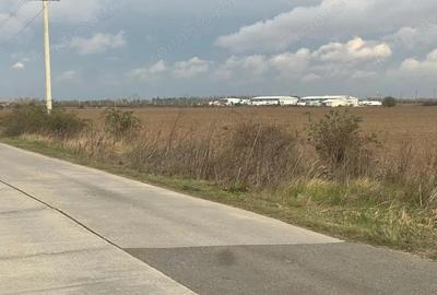 Teren de 800 mp, în Joița - 7