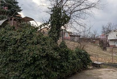 Teren de 700 mp, în Craiovei - 3