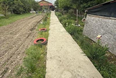 Casă cu 3 camere în Crivăț - 2