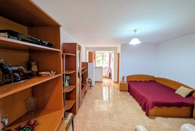 Costin Georgian-Aleea Barajul Bicaz,spatioasa,parter,balcon,mob/utilata,libera - 6