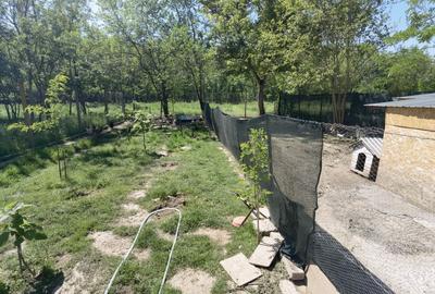 Casa Periam Port - 17