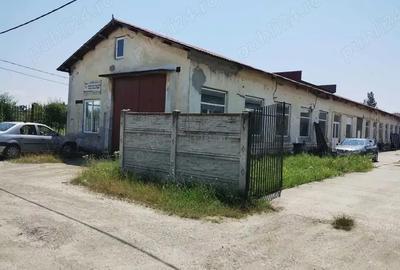 Spațiu comercial, de 1,446 mp, în Filiași - 10