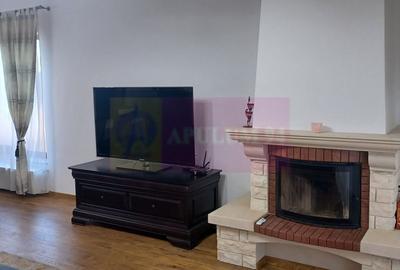 Săbăreni, casă 160 mp utili, structură, finisaje calitate, curte 621mp - 6