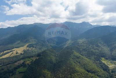 Teren Panoramic in Bran - Vedere spre Bucegi & Piatra Craiului - 3