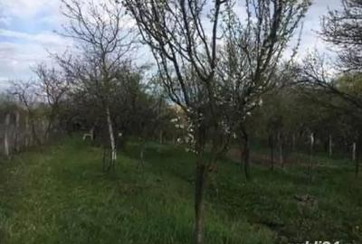 Teren de 1100 mp, în Central - 4
