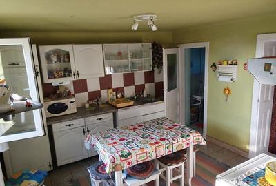 Casă cu 4 camere cu Teren 1600 Mp în Orțișoara - 5