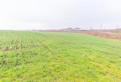 CERNICA - POSTA - TEREN INTRAVILAN CONSTRUCTII 15000 MP! - 7