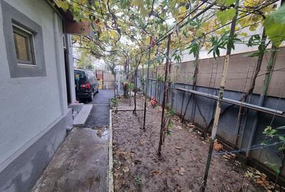 Delfinariu -casa de caramida - 13