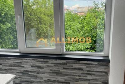 Garsonieră în Paltiniș - 4