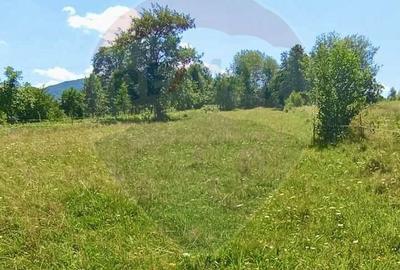 Teren agricol extravilan de 1915 mp, în Breb - 2