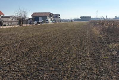 Teren Construcții intravilan de 6000 mp, în Stupini - 5