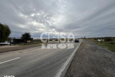 Teren de 15000 mp, în Centură - 7