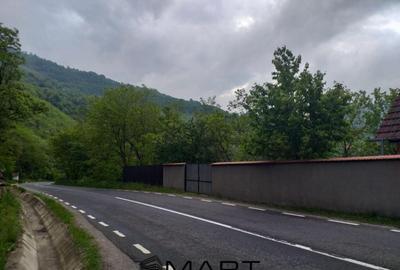 Teren de 7432 mp, în Săsciori - 12