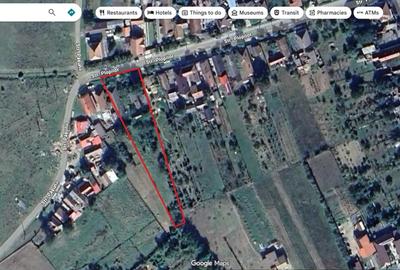 Casă cu 1 camere cu Teren 1972 Mp în Păuliș - 10