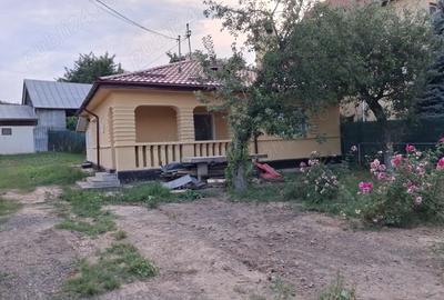 Casa de vinzare - 2