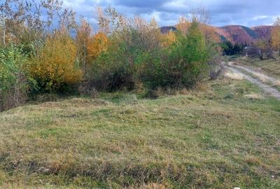 Teren intravilan 1100mp deschidere la drum, de vanzare in Cisnadioara - 2