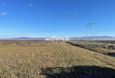 TEREN | INTRAVILAN | CARTIER IZVOR - 4