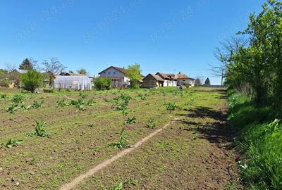 Casa Teren comuna Smeeni BZ teren 2878mp Pret: 40.000 Tip imobil: Casa teren - 1