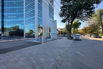 Birou, de 81 mp, în Tătărași - 8