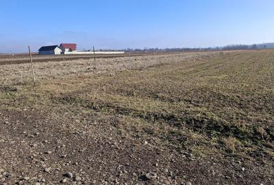 Spațiu comercial, în Central - 2